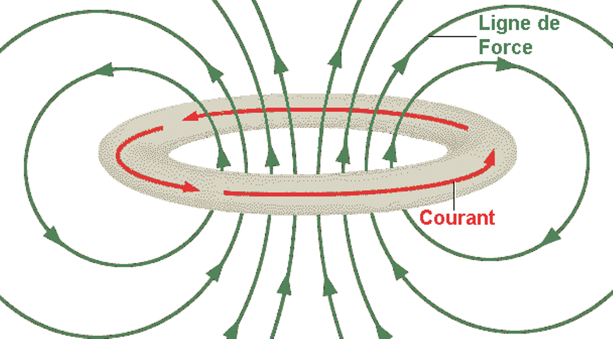 Magnetic field of the neutral zona