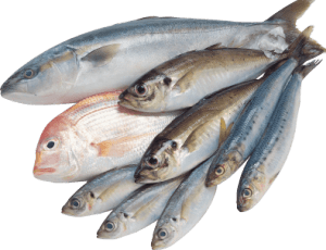 Ненасыщенные жирные кислоты Омега-3, которые содержатся в хеке, треске, камбале, лососе и других видах рыб, обязательно должны присутствовать в рационе здорового человека. Под действием Омега-3 происходит растворение углеводов, белков и жировых отложений. 