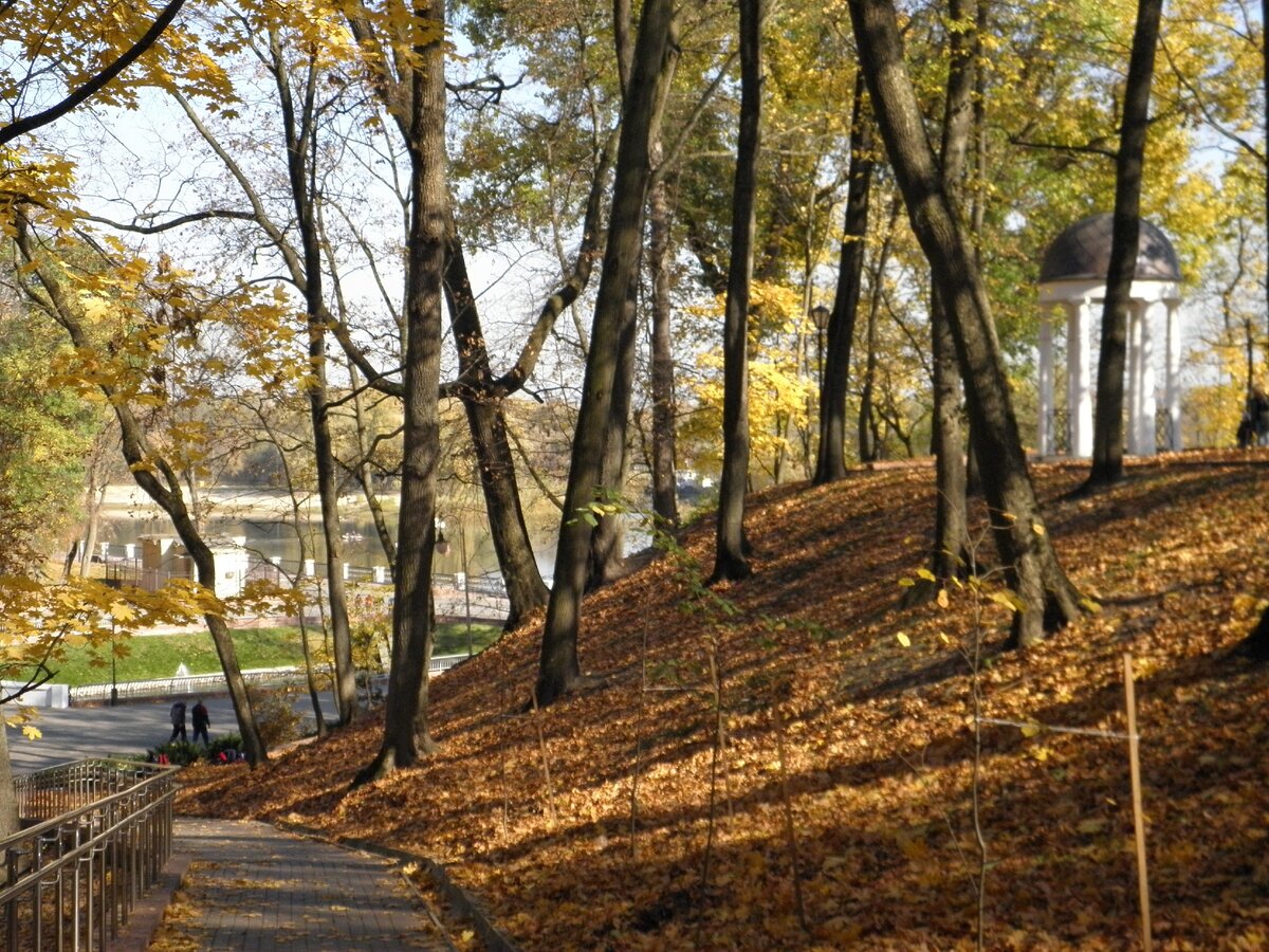 Парк в Гомеле грот