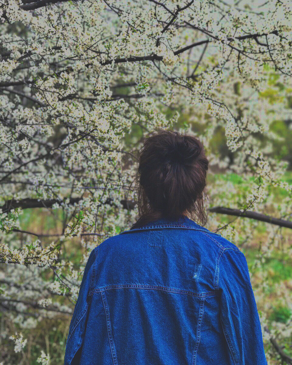 Время замирает, появляется умиротворение души, просто оглянись - Мир так прекрасен🌸