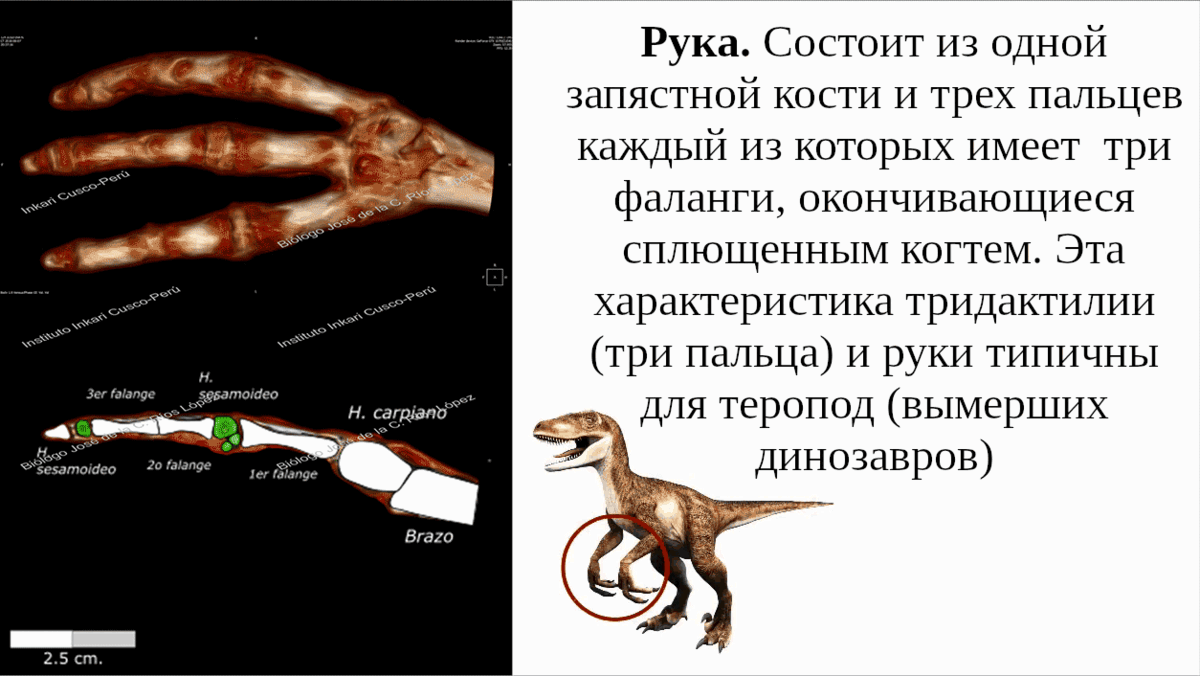 Источник: https://yarkov.org