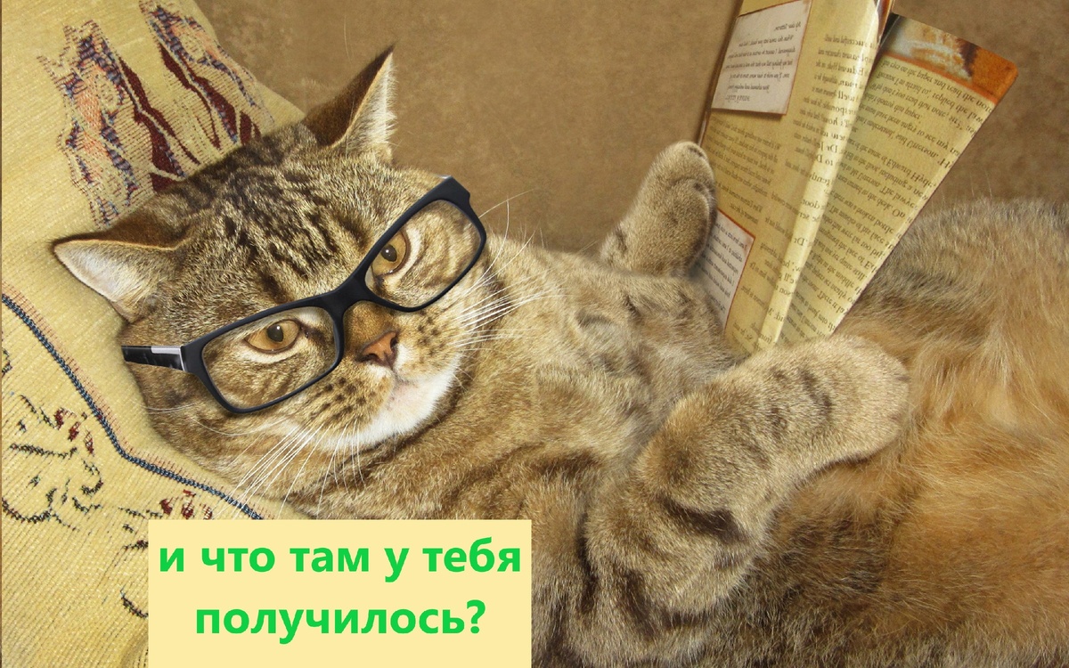 Кот ученый