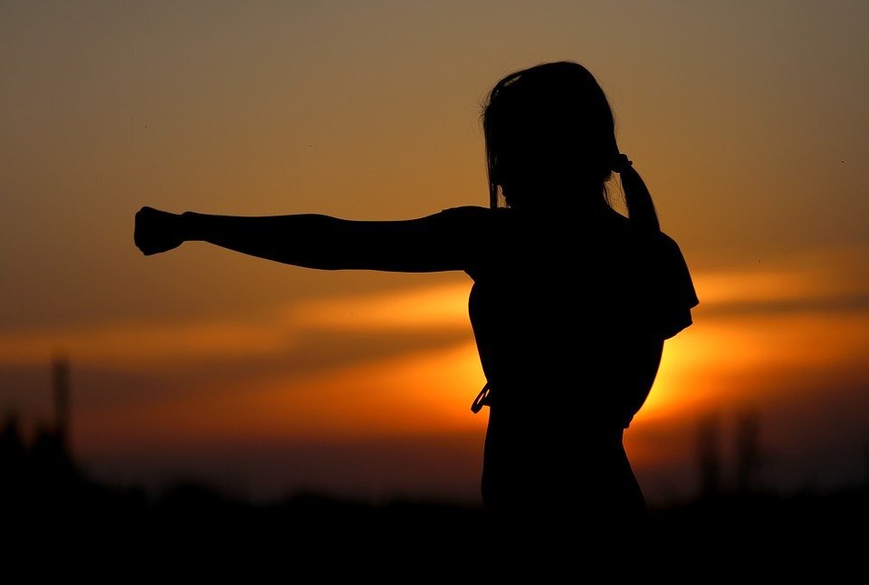 https://cdn.pixabay.com/photo/2017/08/04/01/52/karate-2578819_960_720.jpg