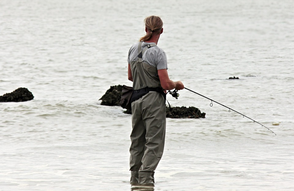 https://pixabay.com/photos/angler-fish-north-sea-waters-3071970/