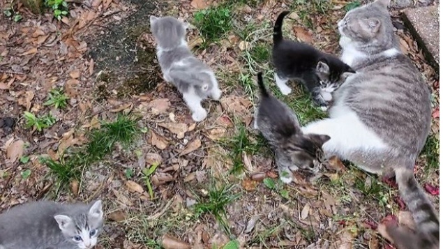 Поставьте лайк и Подпишитесь! Для Вас 1 секунда времени, а для меня огромный вклад в развитие моего канала! Спасибо! 