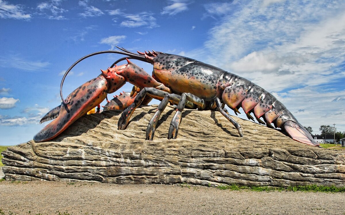 https://cdn.pixabay.com/photo/2017/05/31/02/55/lobster-2358898_1280.jpg