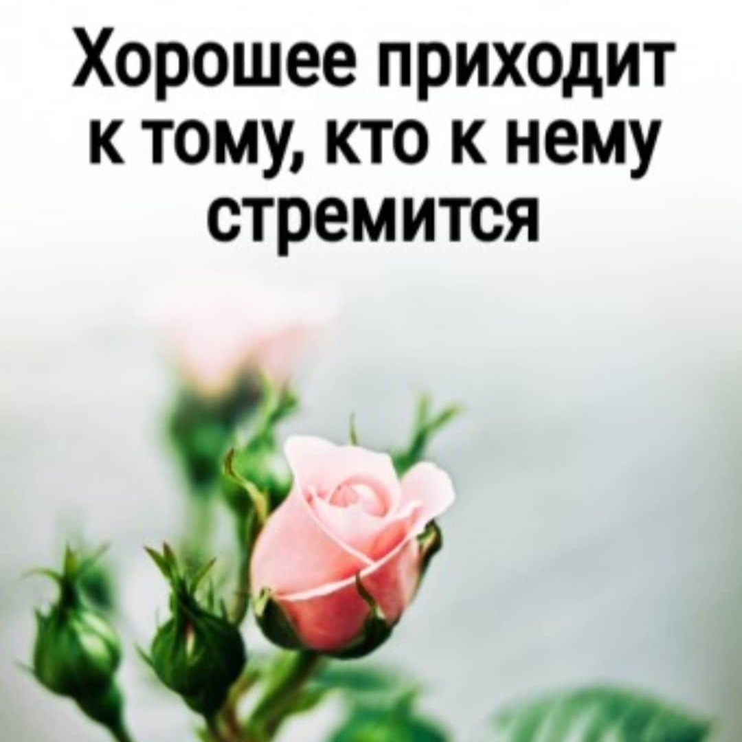 Верьте в себя! И пускай у вас всё будет хорошо 🙏☀️