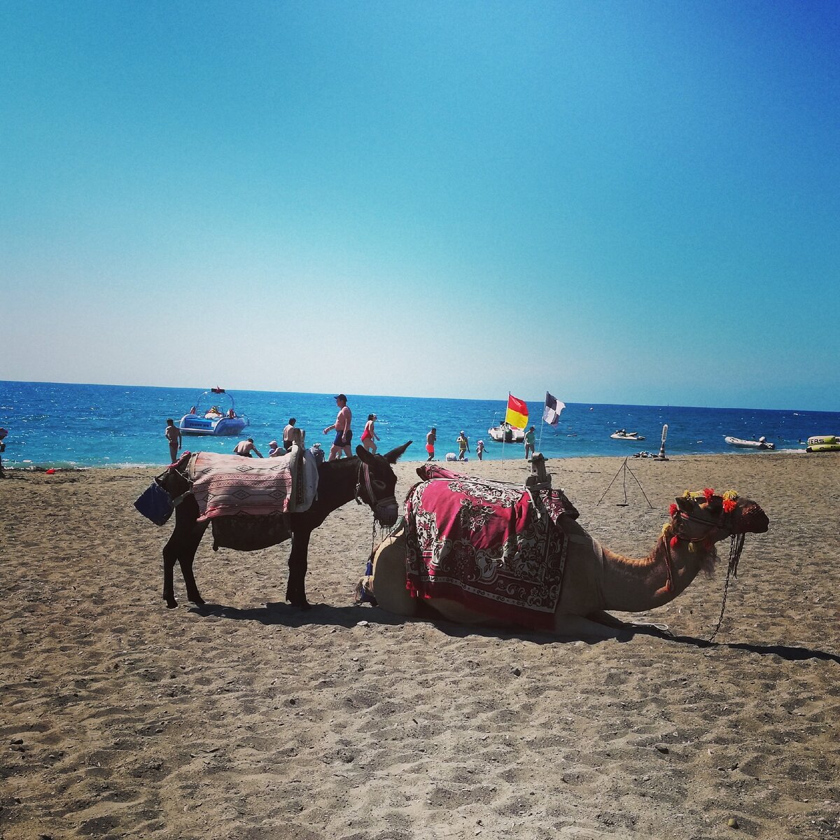 Турция. Отпуск 2019. Фото из личного архива 