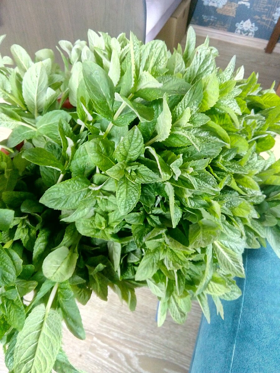 Запах обалденный