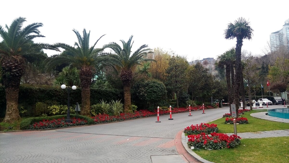 В январе здесь зеленно, но часто идут дожди. 