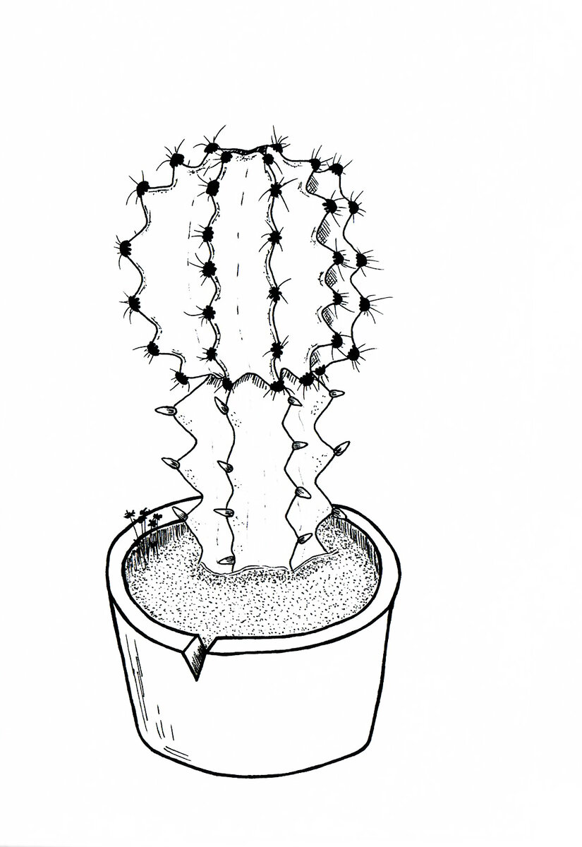 Скетч-иллюстрация № 2
