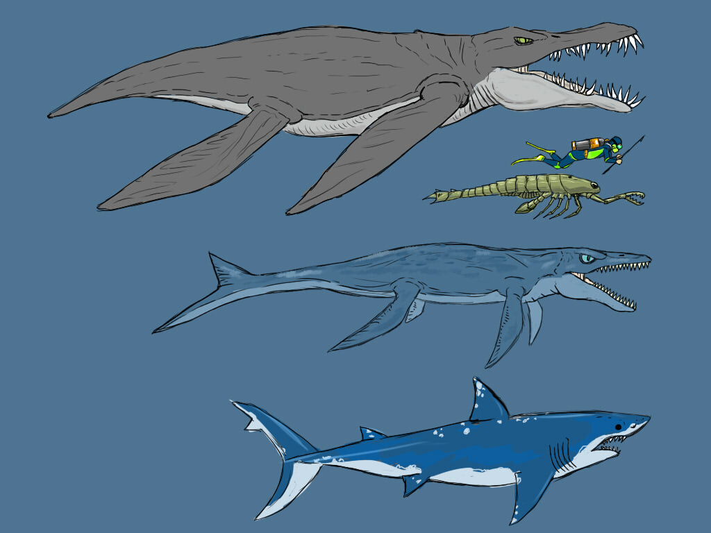 Фото взято из Яндекс картинок