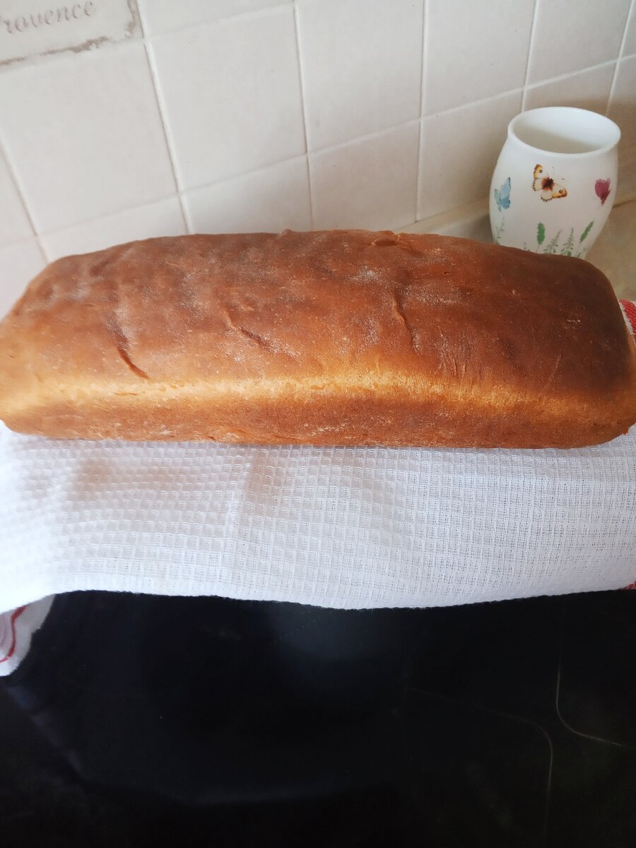 Мой красавец