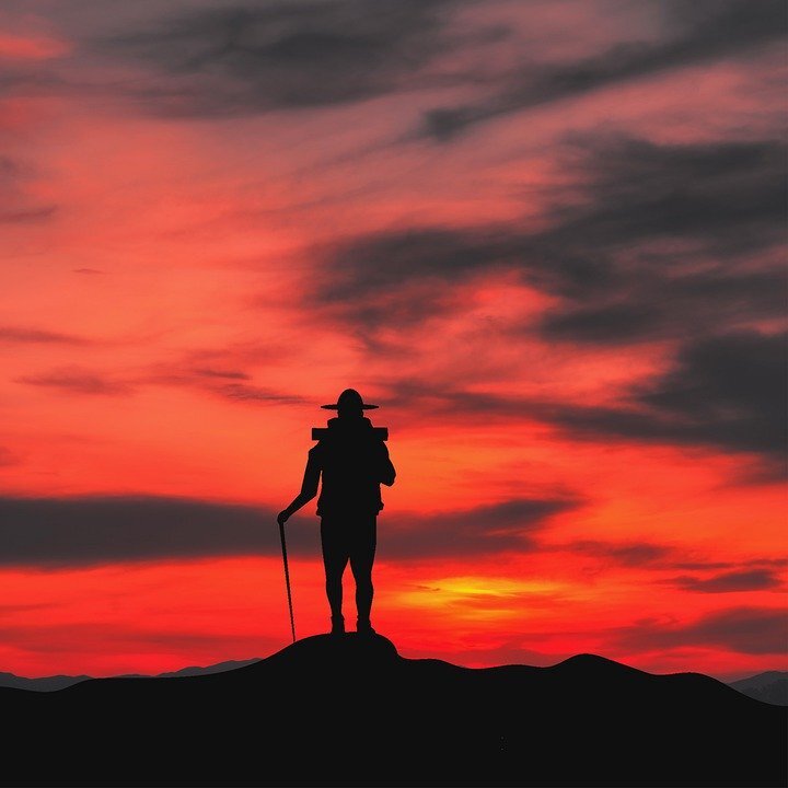 Источник изображения: Pixabay