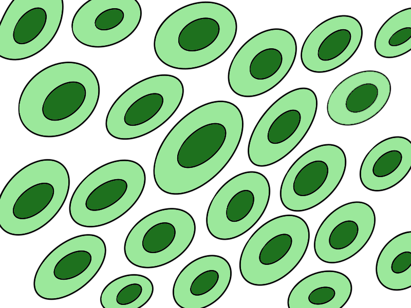 Такой вот лист под микроскопом