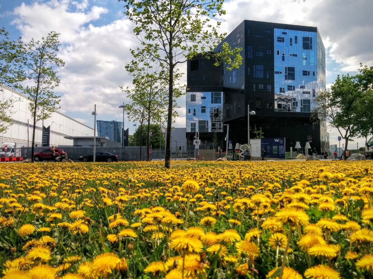Кампус WU
