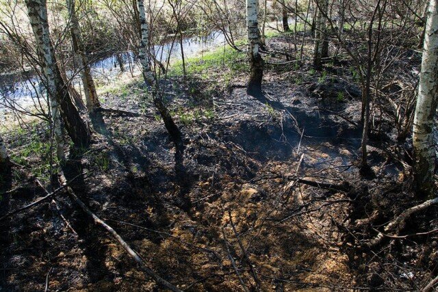 Горящий торф