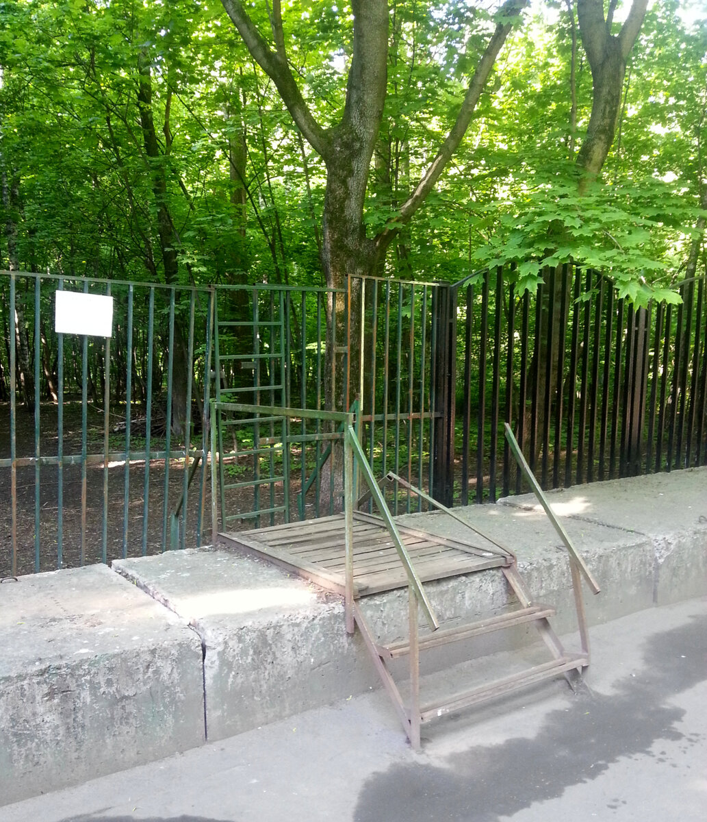 Запрет на здоровье?