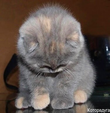  Источник: Pinterest.com