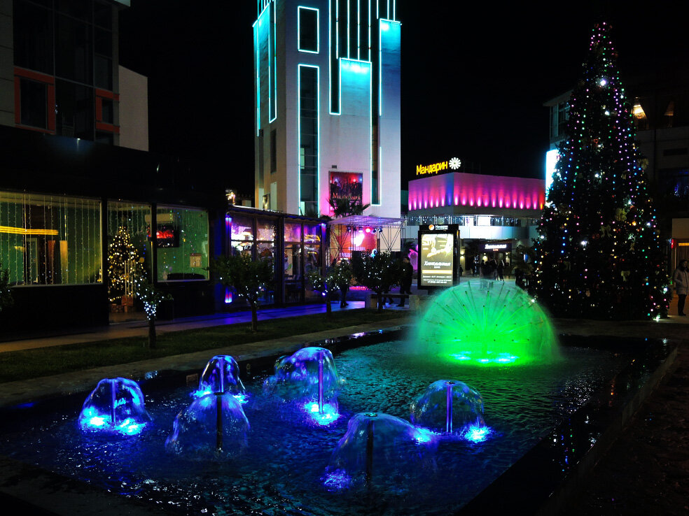 елка в адлере 2022. встретить новый год в адлере. новый год в адлере. встретить новый год в адлере. новогодняя ночь в адлере.