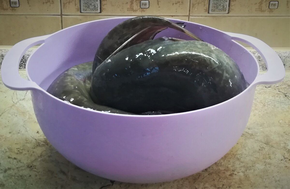 Донские сомики