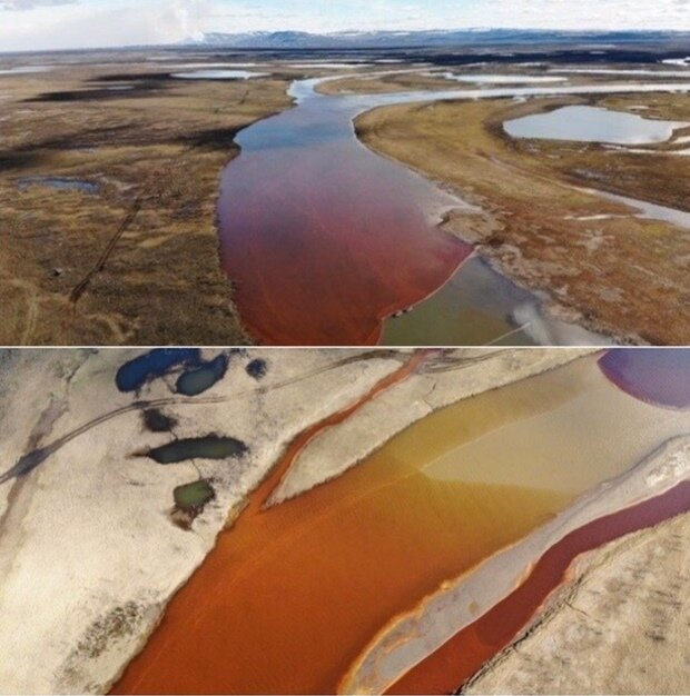 Загрязненная река. Фото из Яндекс Картинки