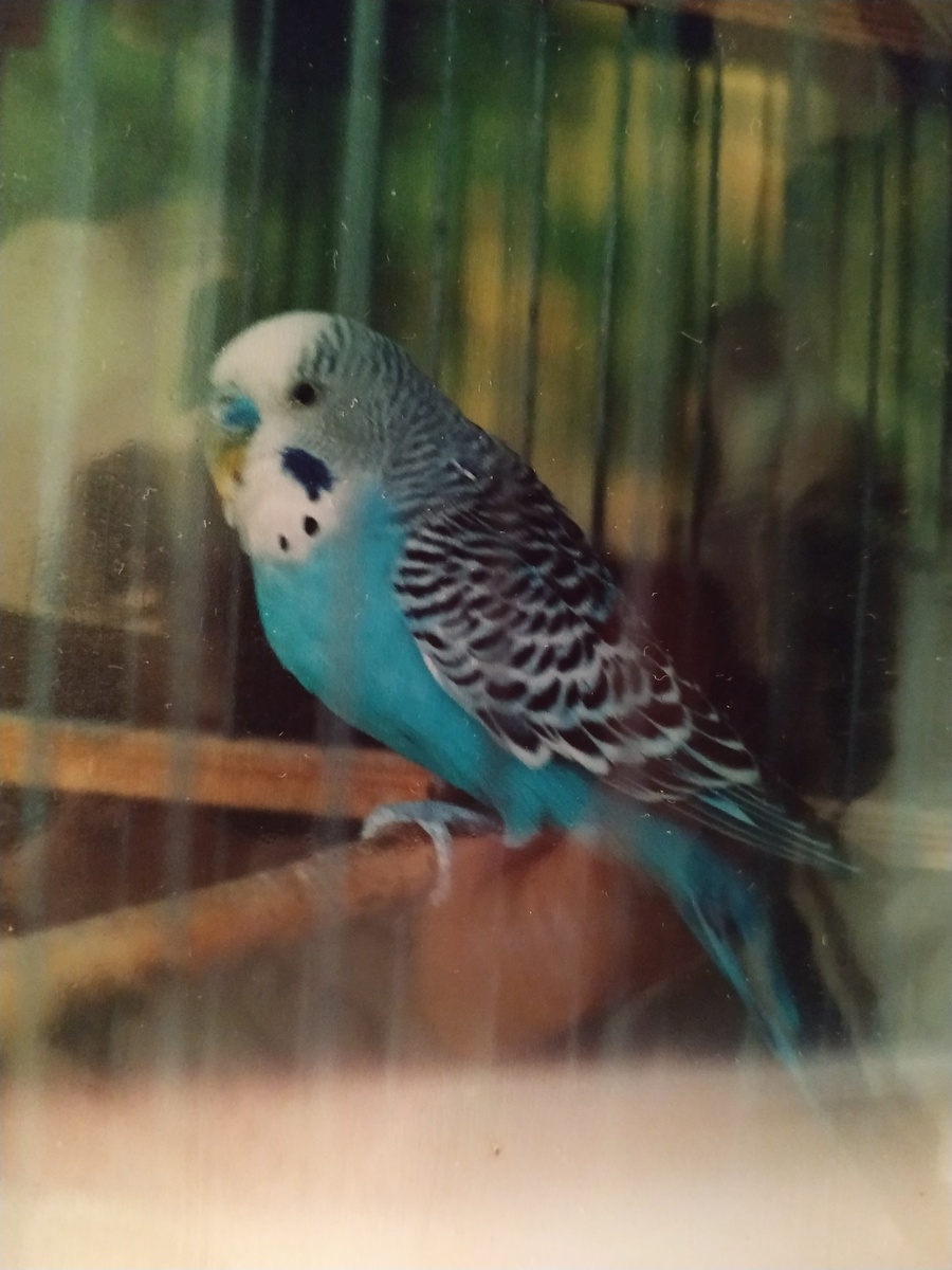 Фото из архива автора.