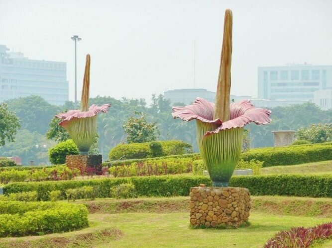 Раздел 2: Гамма красок