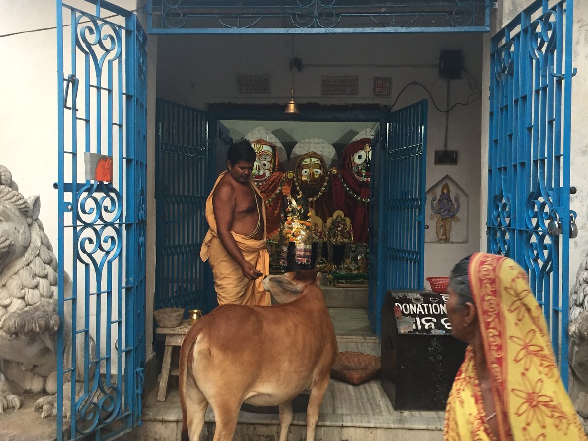 Брамин, который дал мне яблоко