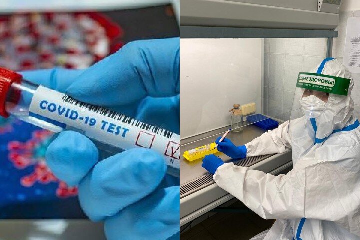 Фото: pixabay, минздрав РМЭ