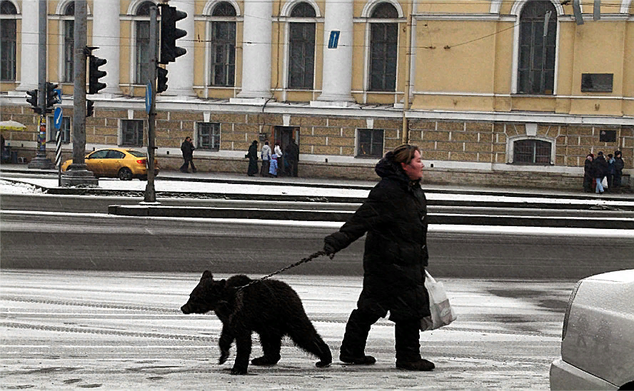 Босые ноги в лесу. В россии две болезни анекдот. В бане женской и мужской. Люди на улице. Парни в шлепанцах по городу.