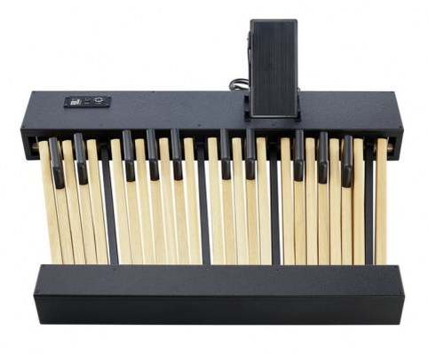 Электронную педальную клавиатуру можно подключить и к некоторым цифровым пианино или синтезаторам. Но, как правило, органисты если и используют цифровой клавишный инструмент, это будет специализированный электроорган.