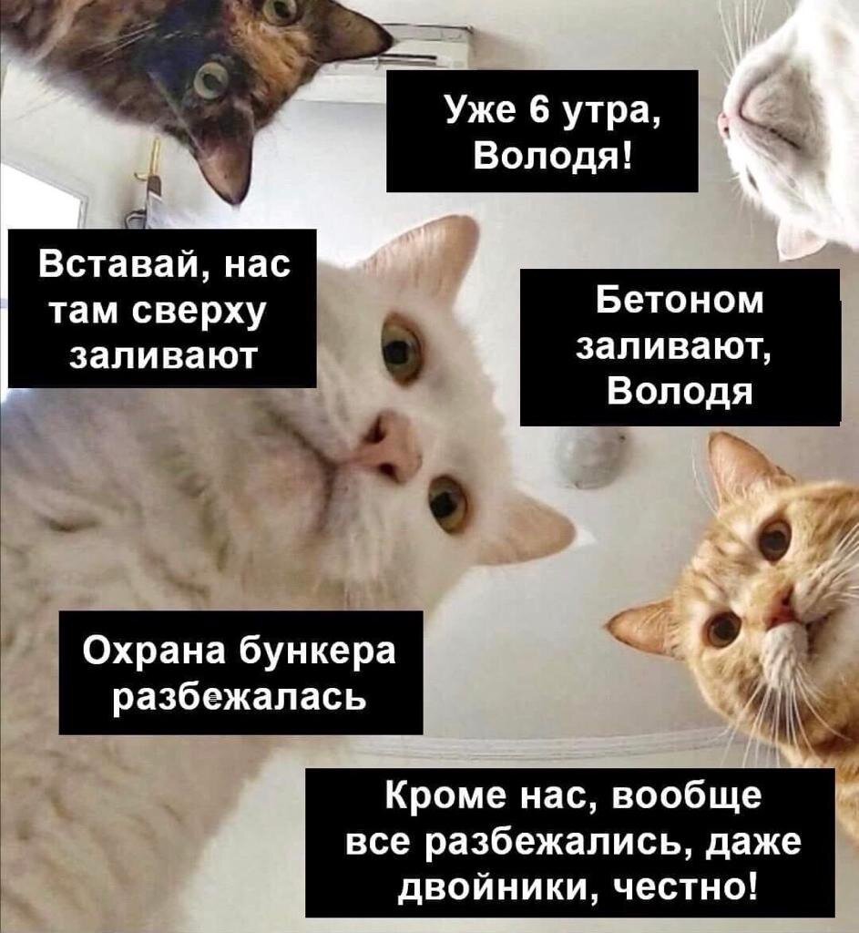 Заглянули от Наташи к Володе...