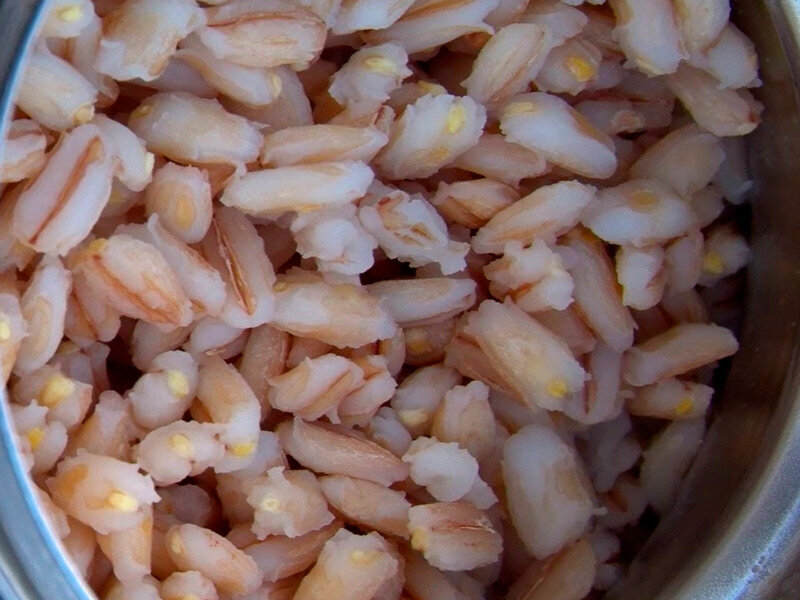 Перловая каша с чесноком