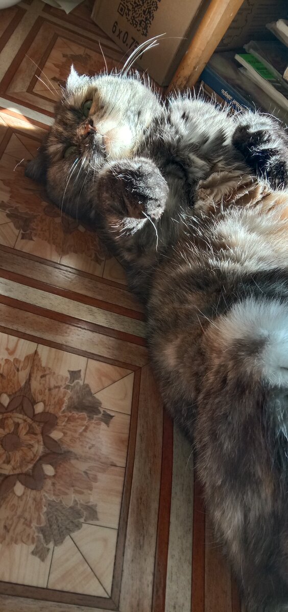 Фото автора