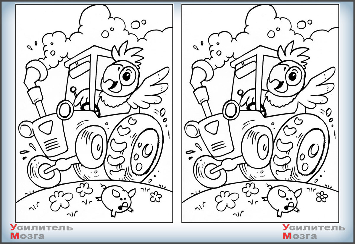 Найдите отличия.