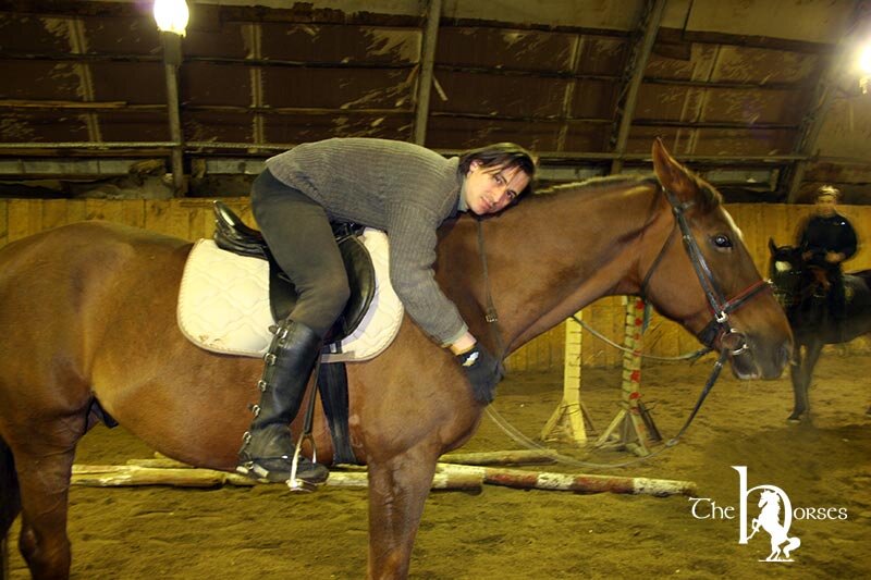 Конный спорт.