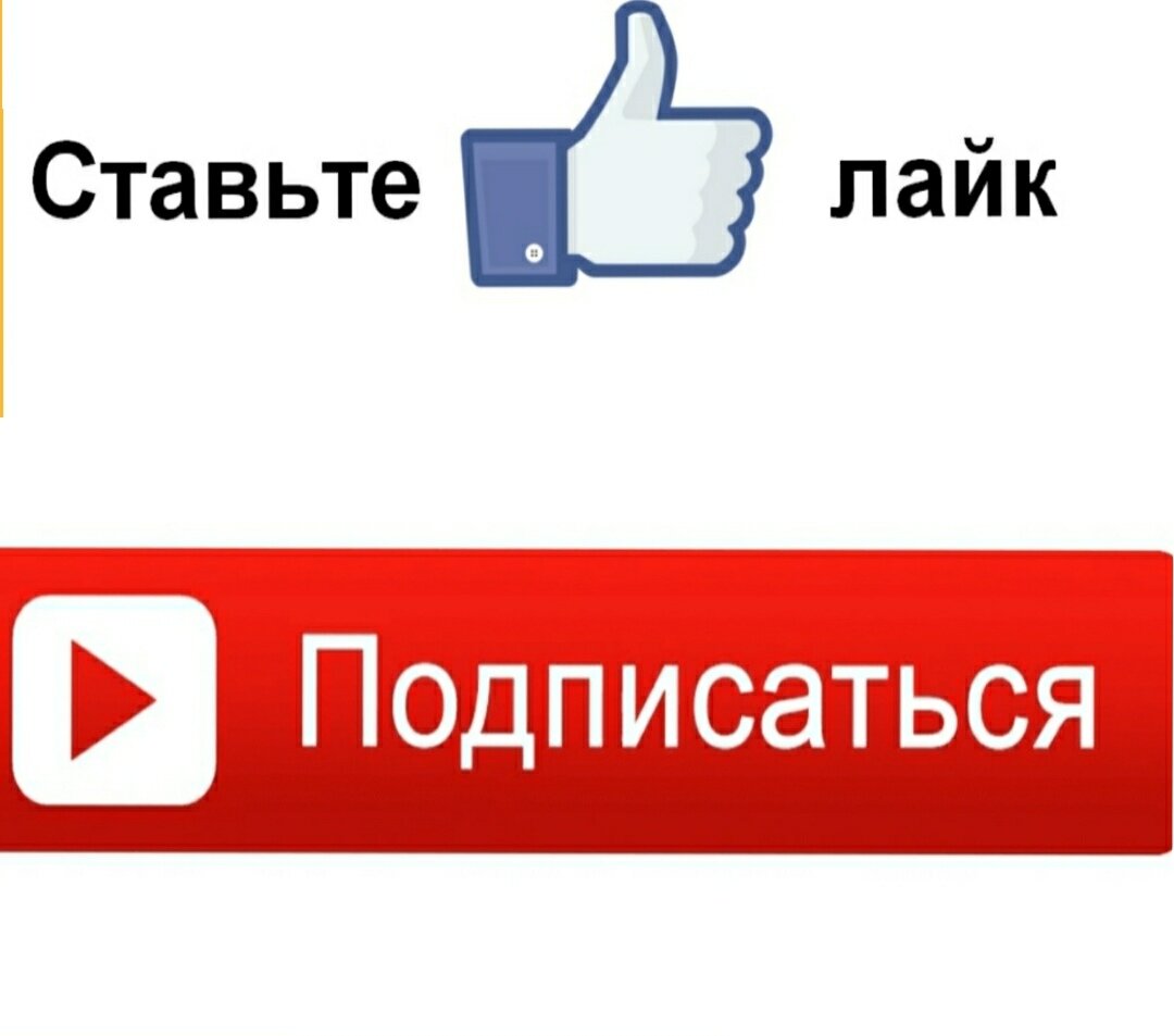 Какие размеры имеют площадки в хоккее. Сравниваем хоккей с мячом и хоккей с  шайбой | Никита Сиротин | Дзен