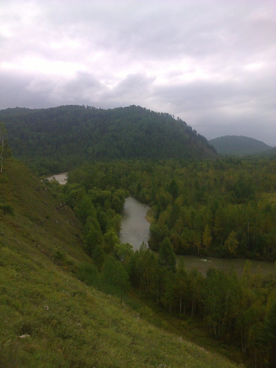 Забайкальский край, Красный Чикой. Тайга.