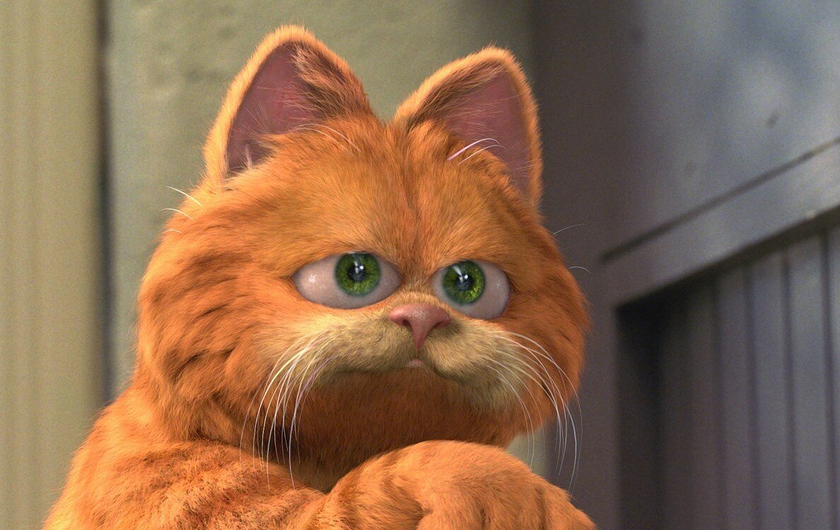 Фото из открытого источника