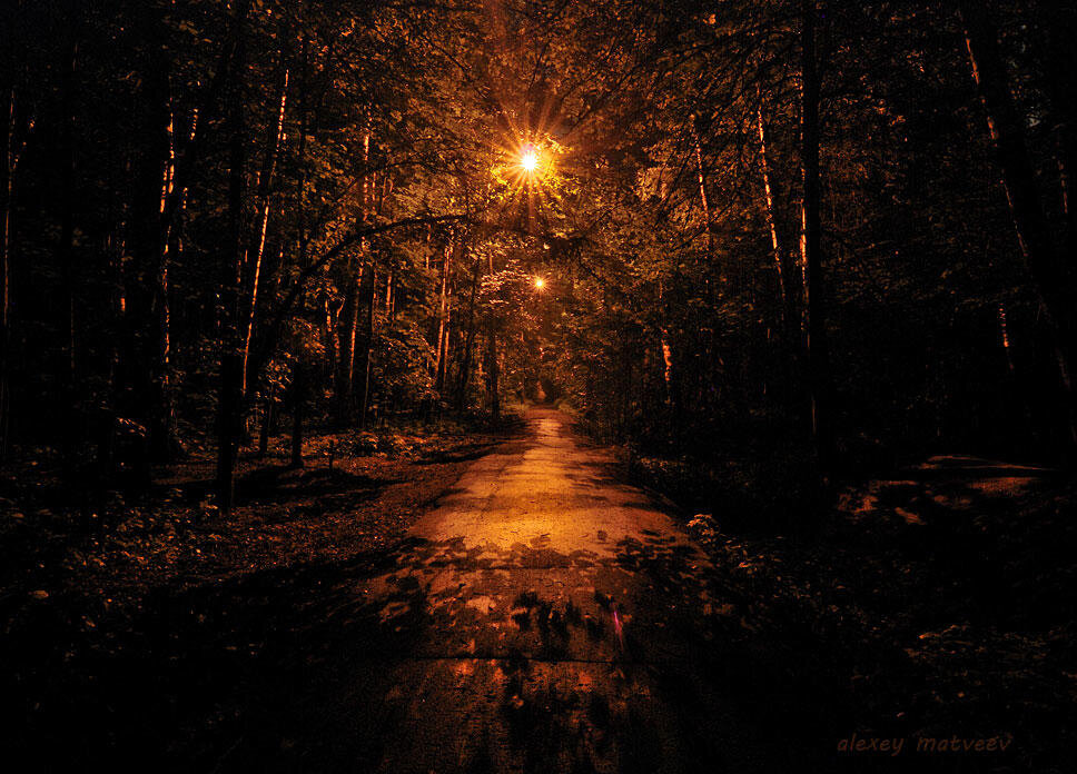 Осенняя темнота раньше казалась мне романтичной...