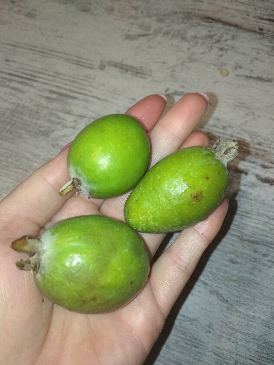 Листай галерею. 