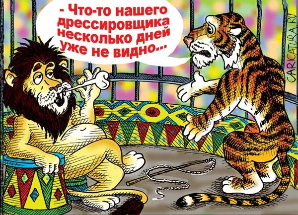 Фото с сервиса Яндекс.Картинки