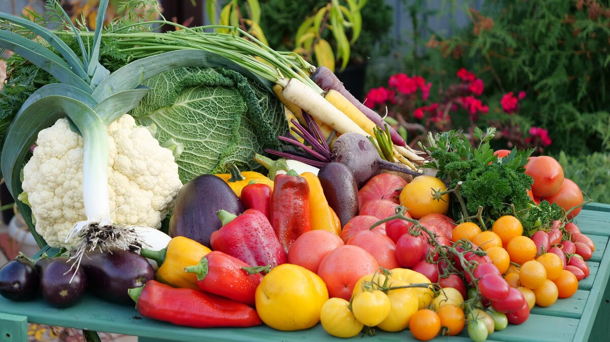 Урожай овощей