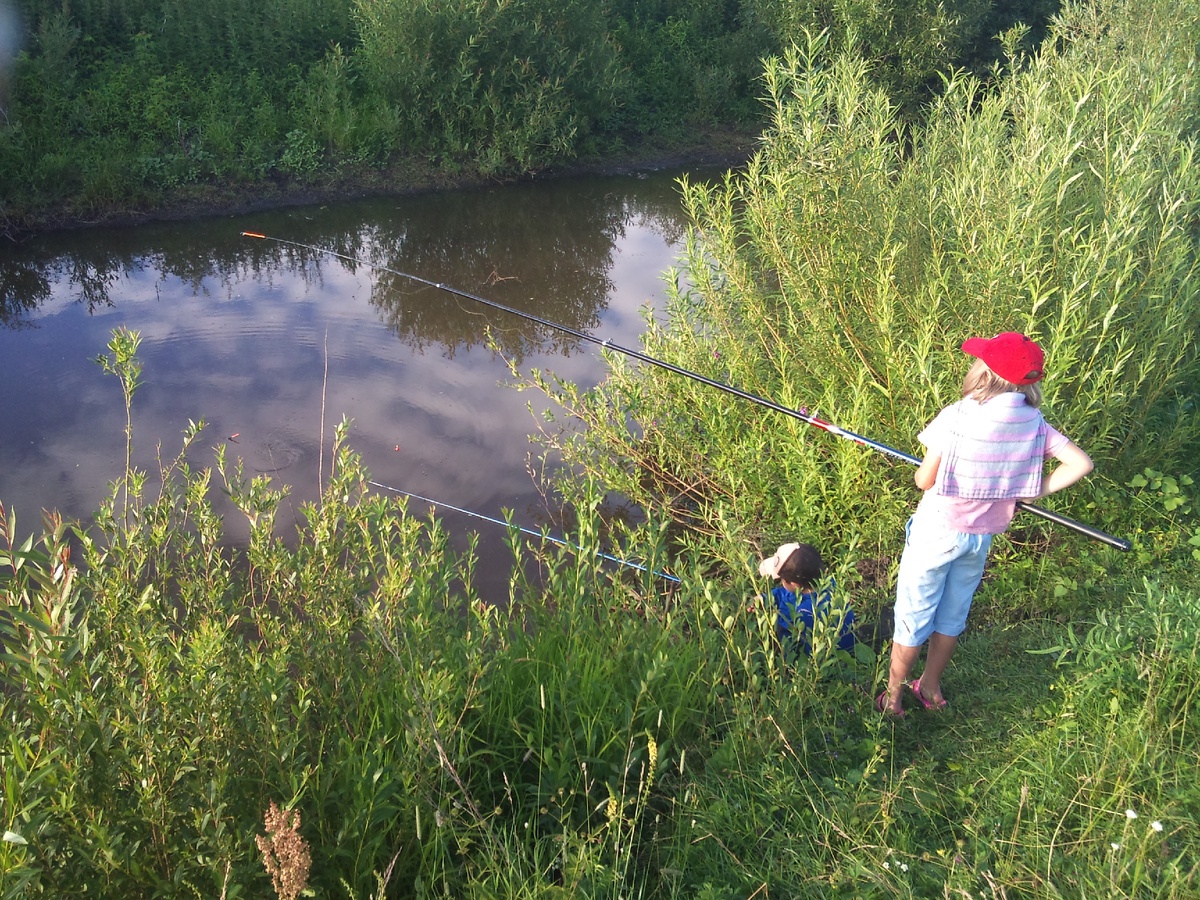 Ловись, рыбка!
