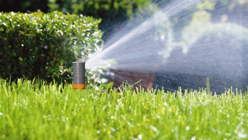 у нас конечно все было немного по другому 