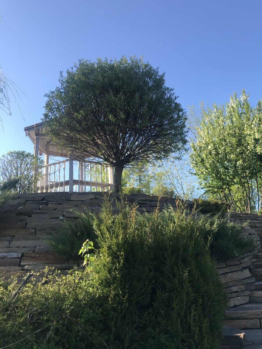 По дороге к храму Иоанна воина