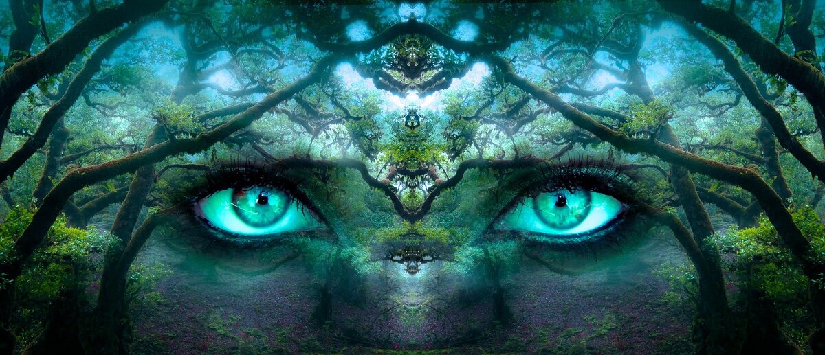 Фото pixabay.com