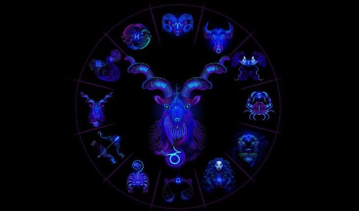 Козерог и его характеристики. Фото: uznayvse.ru