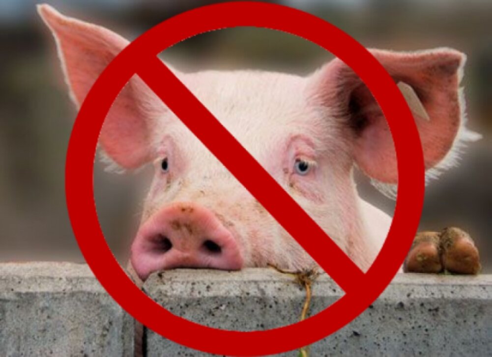 Почему кавказцы не едят свинину: история и причины запрета